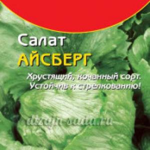 Описание и полезные свойства растения салат листовой